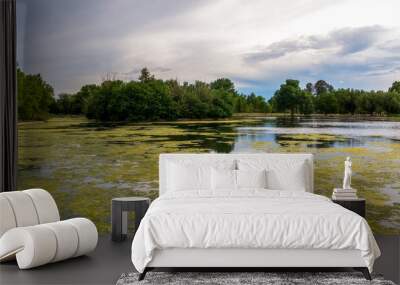 Washington Park in Denver, Colorado, on a spring day. The lake with algae. Wall mural