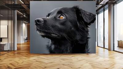 black dog portrait Wall mural