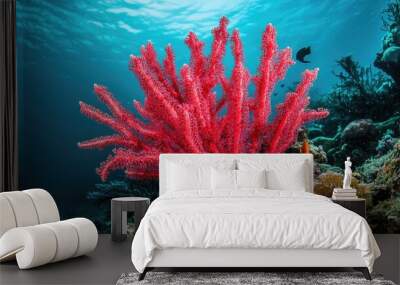 coral reef and diver Wall mural