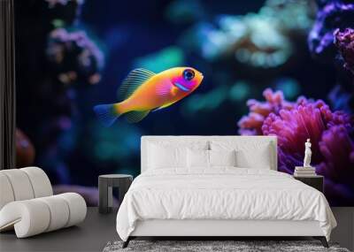 fish in aquarium Wall mural