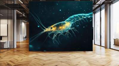 fish in aquarium Wall mural