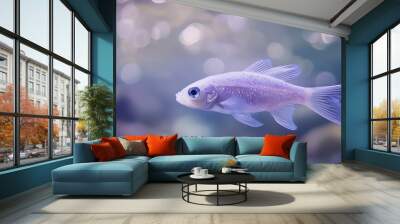 fish in aquarium Wall mural