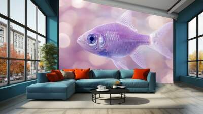 fish in aquarium Wall mural