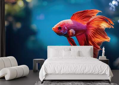 fish swimming in aquarium Wall mural