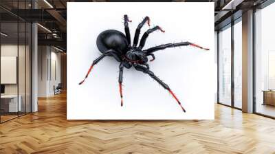 spider isolated on white background Wall mural