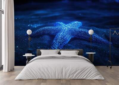 starfish on the beach Wall mural