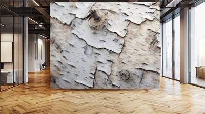 Close-up photo in detail of a birch tree trunk with pretty white bark texture mock-up Wall mural