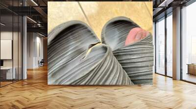 Close up top view of ripped and torn gray rubber sandals with right foot thumb nails Wall mural