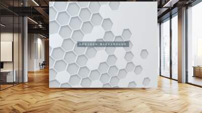 Abstract 3D hexagon texture white background Wall mural