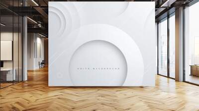 Modern abstract light silver background elegant circle shape design Wall mural