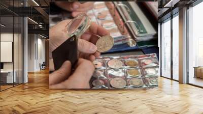 Two numismatists examines  collection of coin Wall mural