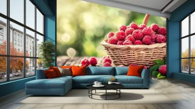 Ripe raspberries in a basket on a wooden table in a garden Wall mural