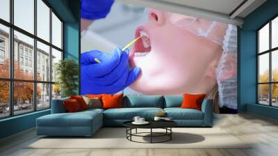 Dentist make fluoridation of teeth after ultrasonic cleaning for young woman. Stomatologist apply fluoride on patient's teeth. Portrait of young woman. Stomatology clinic, cure, treatment, procedure. Wall mural