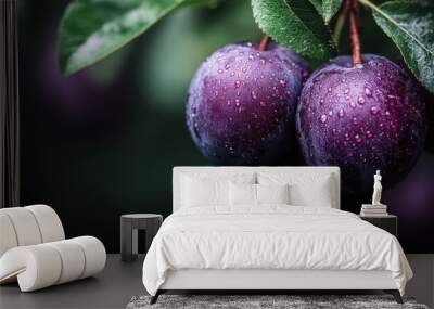 A close-up image features ripe purple plums with water droplets, surrounded by fresh green leaves, highlighting the fruit's moist texture and outdoor setting. Wall mural