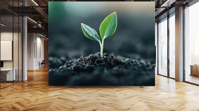 A close-up view of a young plant shoot emerging from moist, dark soil, representing growth, freshness, and the rewarding process of planting and nurturing new life. Wall mural