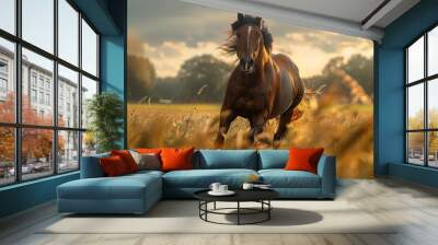 A majestic horse with shiny coat gallops in a field, illuminated by the warm evening sunlight Wall mural