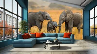 this heartwarming image captures the playful interaction between two young elephants in their natura Wall mural