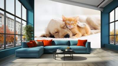 Cat and dog sleeping. Puppy and kitten sleep. Wall mural