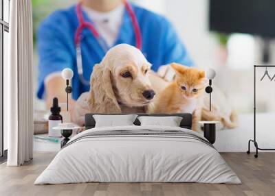 Vet with dog and cat. Puppy and kitten at doctor. Wall mural