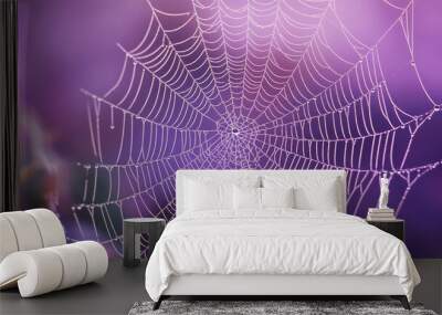 spider web with dew on purple background: ai, high quality image Wall mural