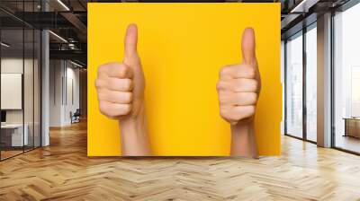 Two female hands showing thumbs up sign against yellow background, generative ai Wall mural