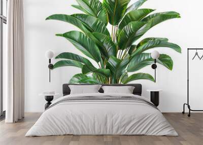 Bring the beauty of nature indoors with this lush and lifelike artificial floor plant. Wall mural