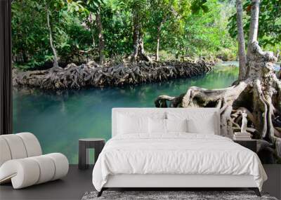 The Tha pom Klong Song Nam at Krabi  at Krabi ,Thailand ,Is a clear blue water in the mangrove forest.,Popular Tourist Attraction in Krabi Province. Wall mural