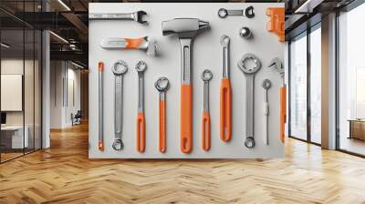 A collection of various tools such as hammers, wrenches, etc., with a white background Wall mural