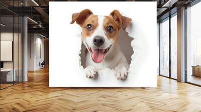 A little dog passing through white paper Wall mural