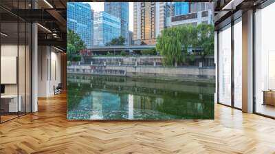 Downtown City skyline along the River in China. Wall mural