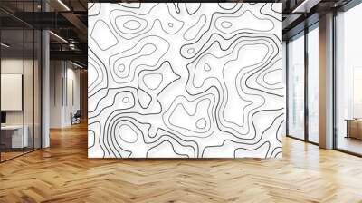 Gray wave paper curved reliefs abstract background, Abstract topographic contours mountain relief topographic map background. Business concept Wall mural