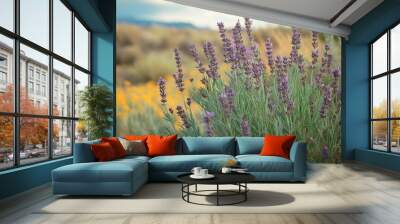 close view of lavender flowers on field at summer Wall mural