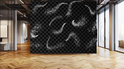 Sparkle stardust. Glitter silver wave. Magic comet with trail. Shining stars. Wall mural