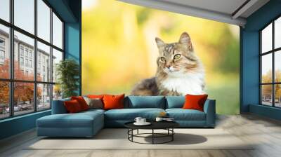 Beautiful red fluffy cat portrait on summer nature background Wall mural