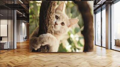 summer portrait of a beautiful ginger cat walking on nature, brown-eyed kitten plays hiding behind a grape branch Wall mural