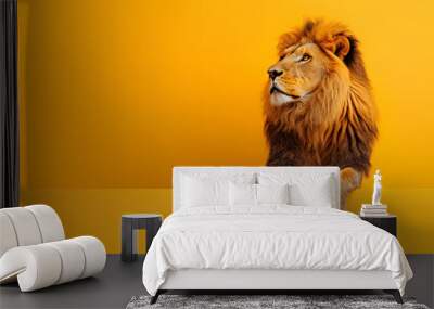 A lion image sits against a yellow background. Advertising banner design for a film, carnival or zoo. Wall mural