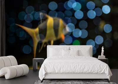 Bokeh light effects with dark background Wall mural