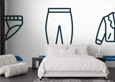 set of 3 linear icons from clothes concept. outline icons such as underpants, harem pants, leather biker jacket vector Wall mural