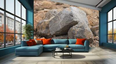 desert landscpae Wall mural