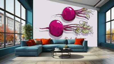 vector illustration of red beet Wall mural