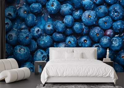 Background of the fresh blueberries.  Wall mural