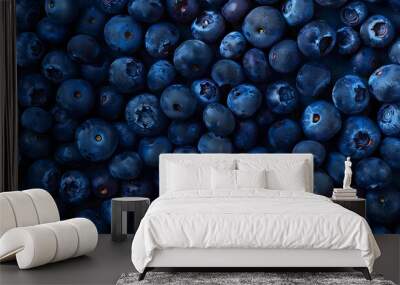 Background of the fresh blueberries.  Wall mural