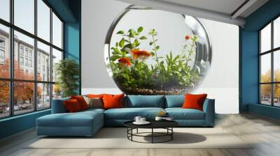 Beautiful bright small goldfish in round glass aquarium isolated on white. Made with generative ai Wall mural