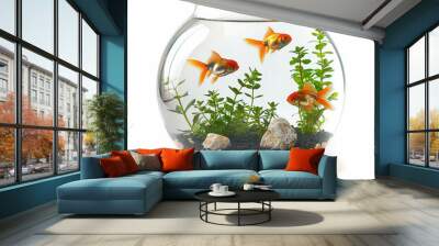 Goldfish in aquarium isolated on white background. Made with generative ai Wall mural