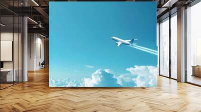 plane with path Wall mural