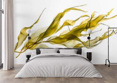 swaying kelp seaweed isolated on white background.  Wall mural