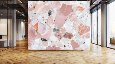 Terrazzo flooring marble stone wall texture abstract pink background. Colorful terrazzo floor tile on cement surface, architecture interior design pattern, wallpaper material modern home decoration  Wall mural