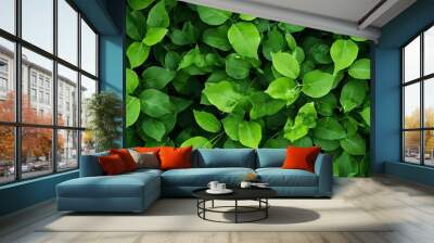 natural green leaves background Wall mural