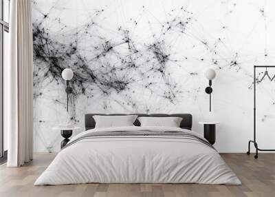 Abstract Black and White Network Wall mural