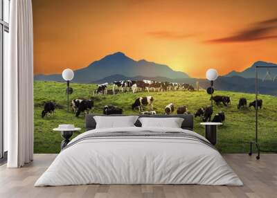 Cows on a green field with beautiful sunrise Wall mural